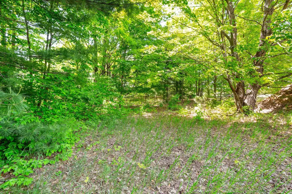 7764 S Weldon Road Weldon Township, MI 49683