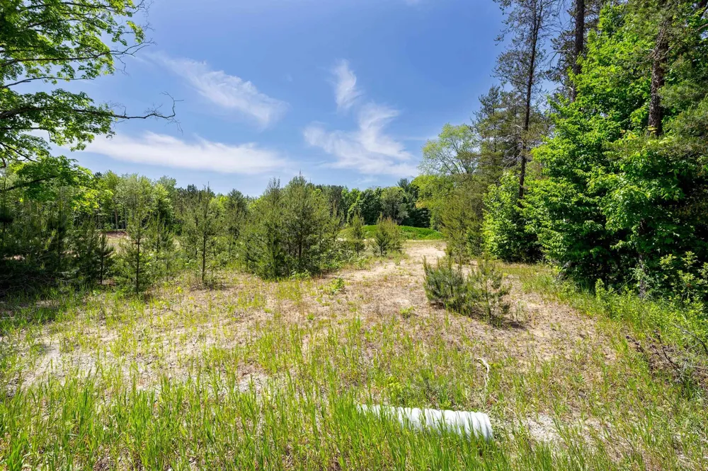 7764 S Weldon Road Weldon Township, MI 49683