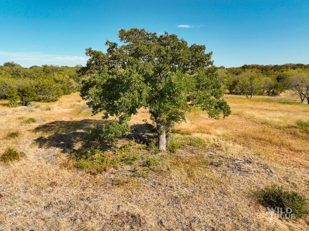 New Hope Road Santo, TX 76484