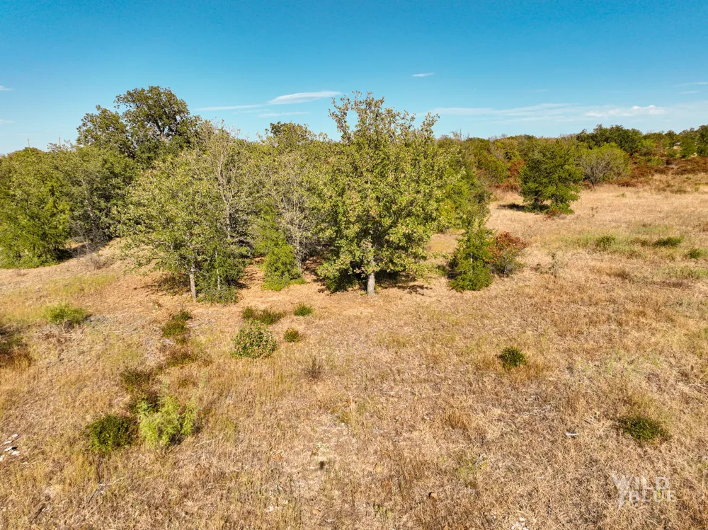 New Hope Road Santo, TX 76484