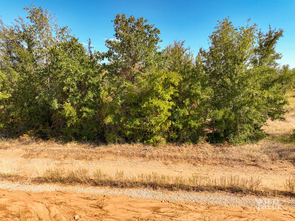 New Hope Road Santo, TX 76484