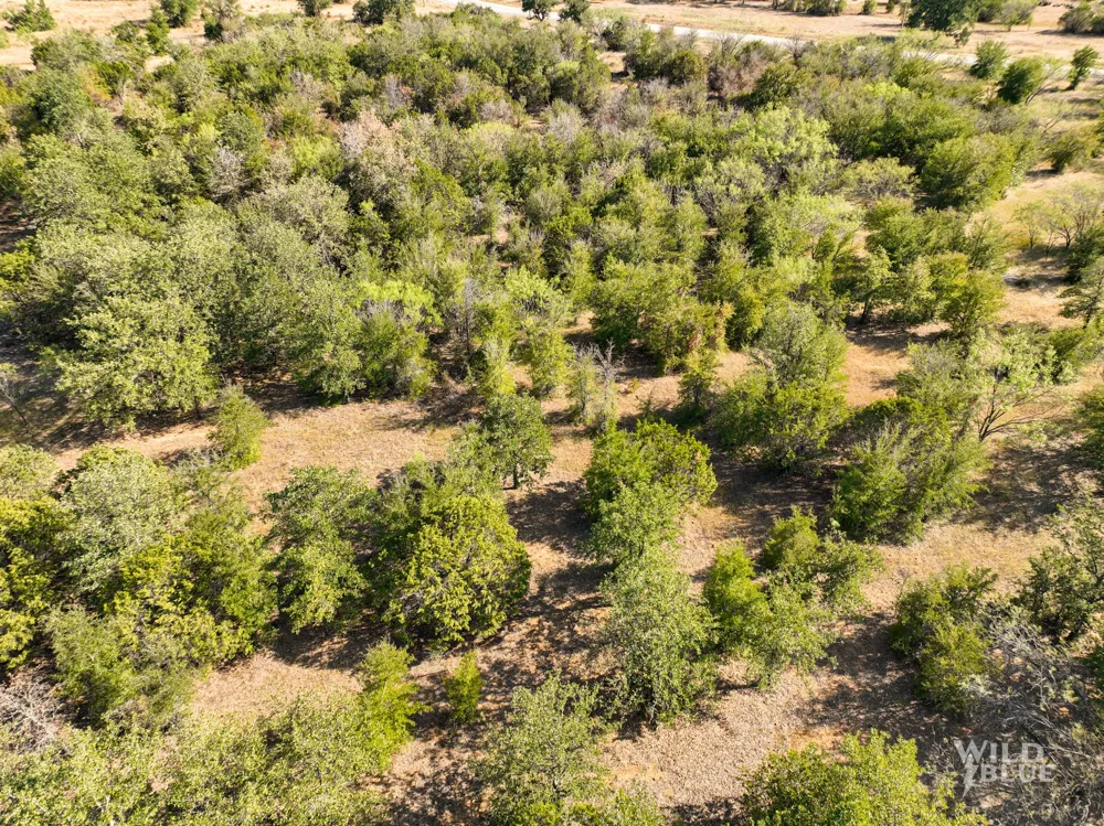 New Hope Road Santo, TX 76484