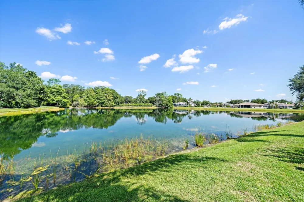 11909 SUMMER MEADOW DRIVE Lakewood Ranch, FL 34202