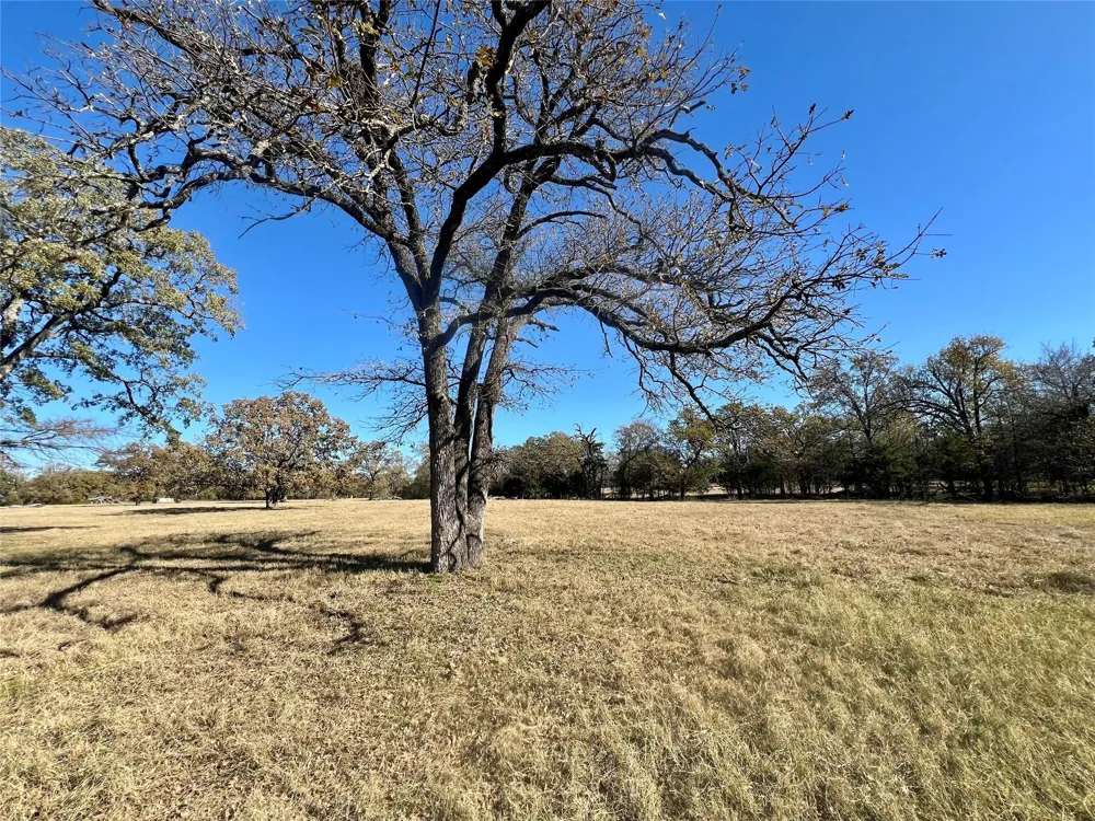 County Road 2104 Kemp, TX 75143