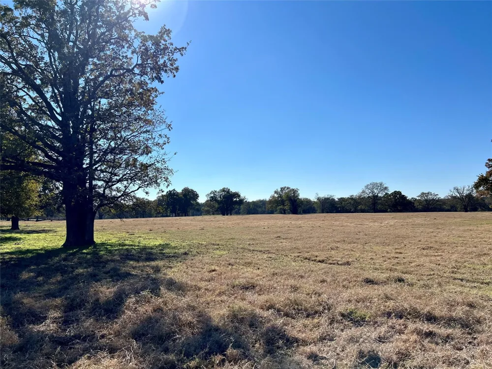County Road 2104 Kemp, TX 75143