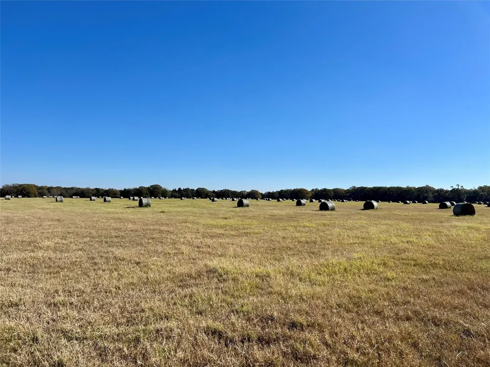 County Road 2104 Kemp, TX 75143