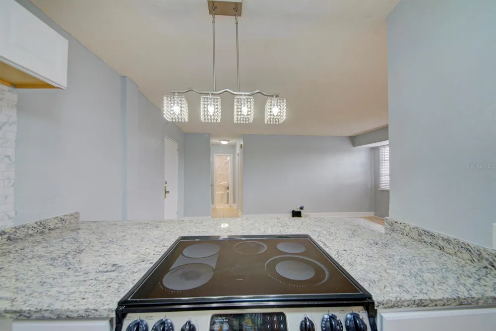 3315 58TH AVENUE S #306 St Petersburg, FL 33712