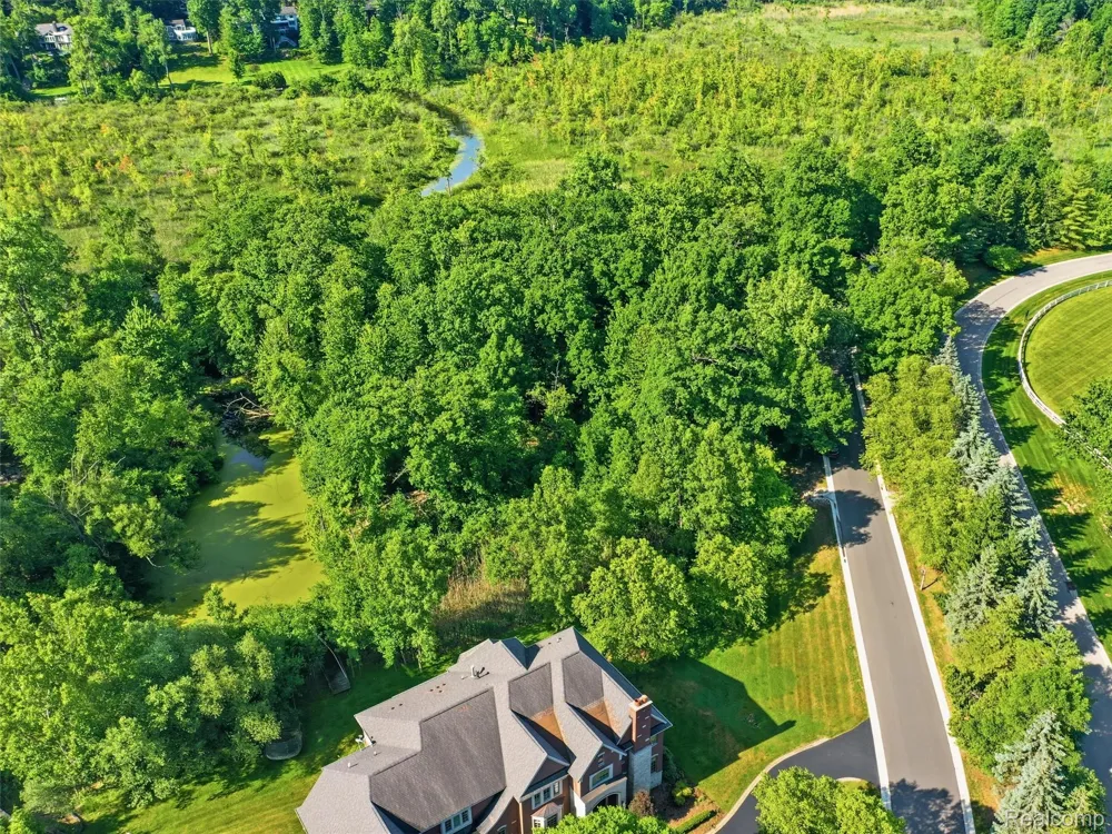 1920 Heron Ridge Drive Bloomfield Hills City, MI 48302