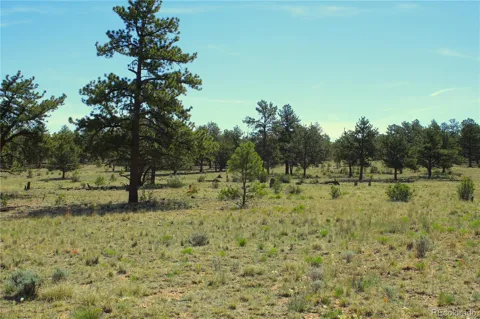31572 Highway 9