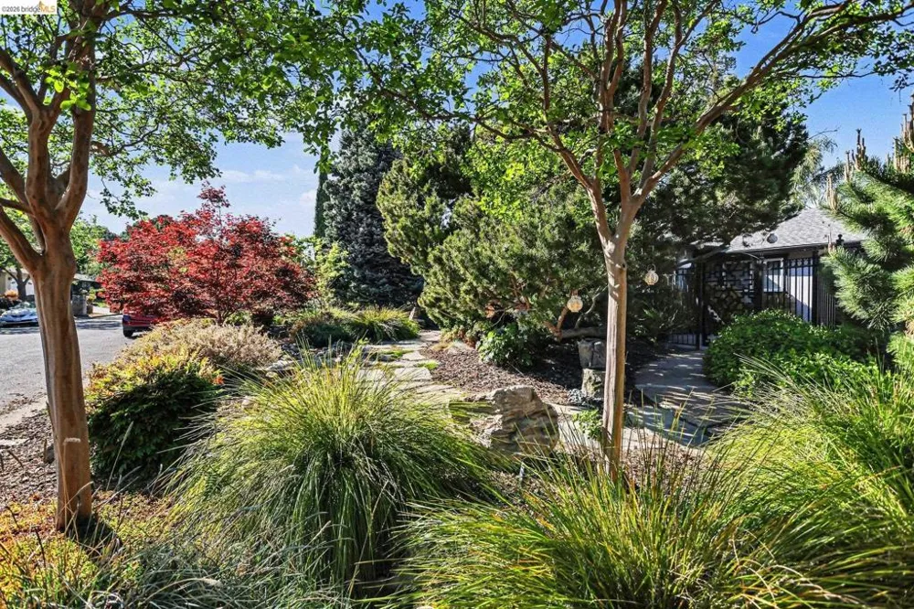 5849 Mitchell Canyon CT Clayton, CA 94517