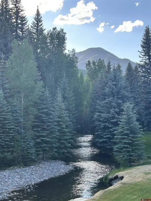 245 Mushroom Drive Bayfield, CO 81122