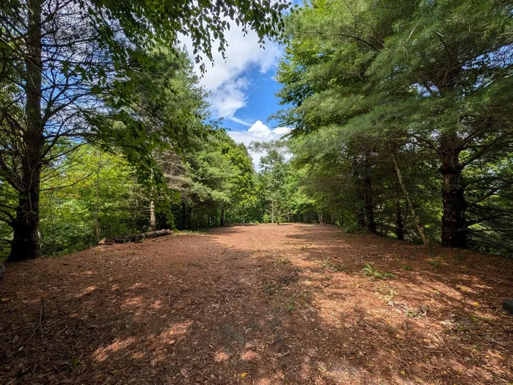 Summit Drive Whittier, NC 28789