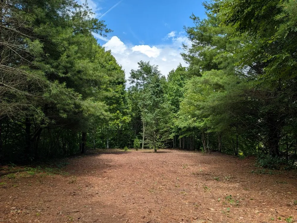 Summit Drive Whittier, NC 28789