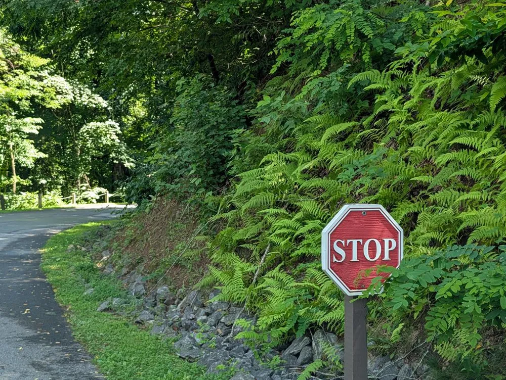 Summit Drive Whittier, NC 28789