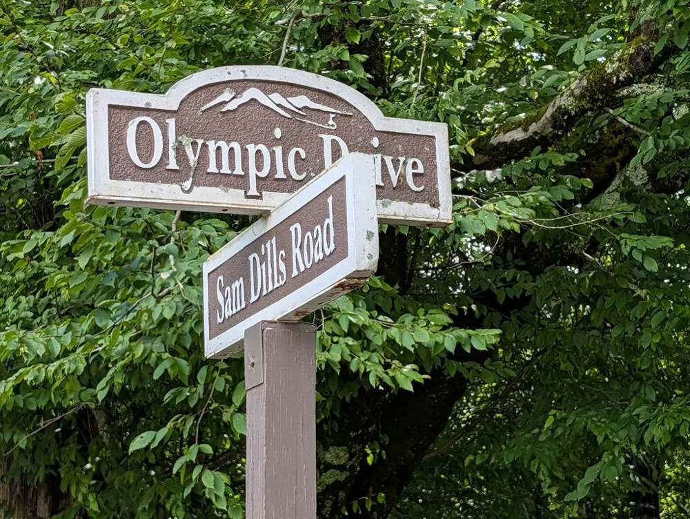 Summit Drive Whittier, NC 28789