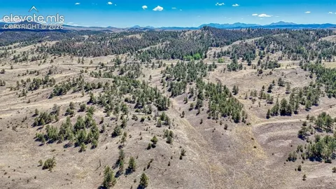 Lot 11 Highway 9