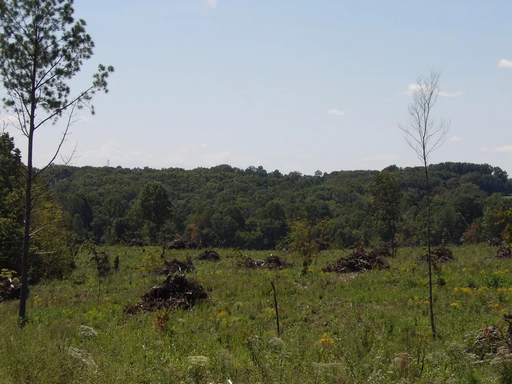 55 Summer City Road Evensville, TN 37332