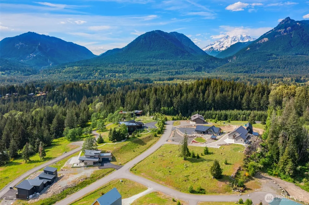 107 Belle Lane Packwood, WA 98937