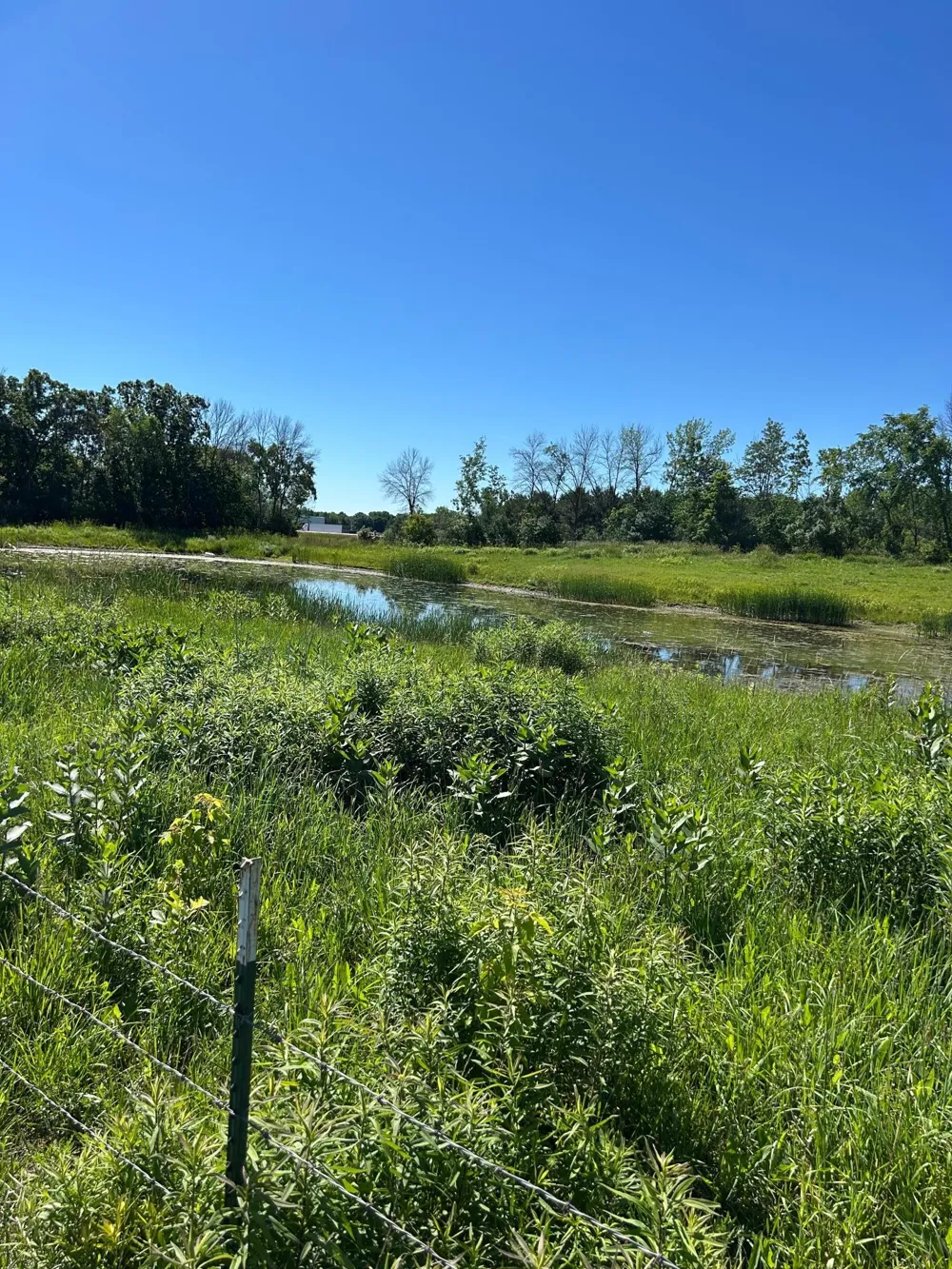 TBD Old Cty Rd B Woodville, WI 54028