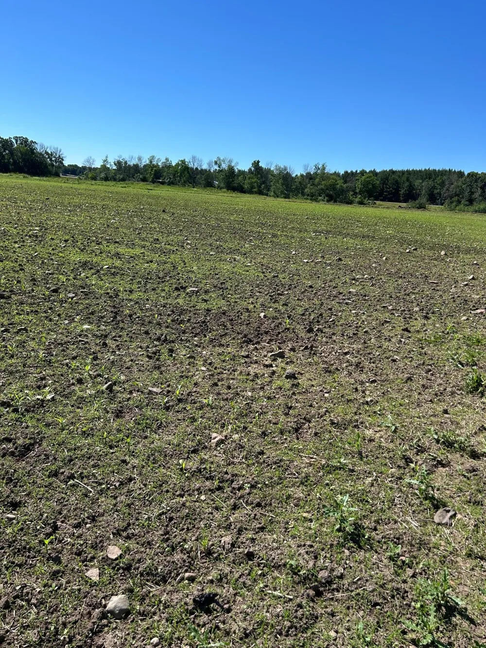 TBD Old Cty Rd B Woodville, WI 54028