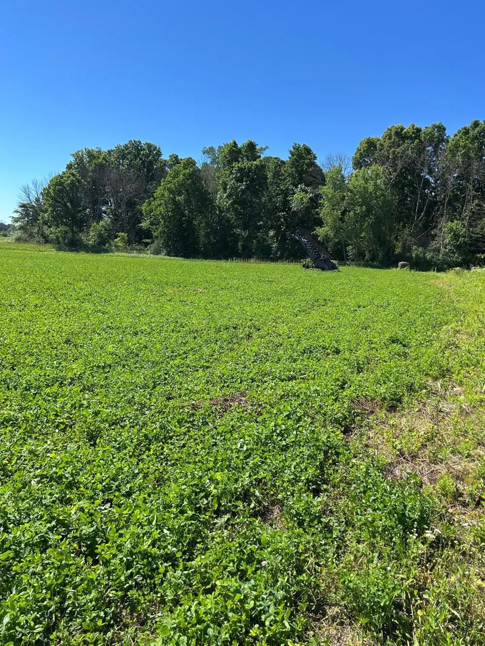 TBD Old Cty Rd B Woodville, WI 54028