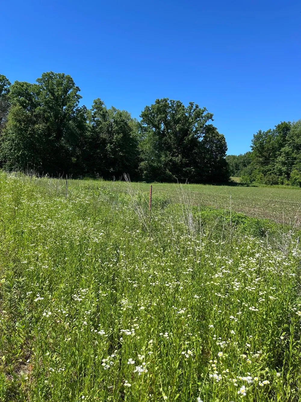 TBD Old Cty Rd B Woodville, WI 54028