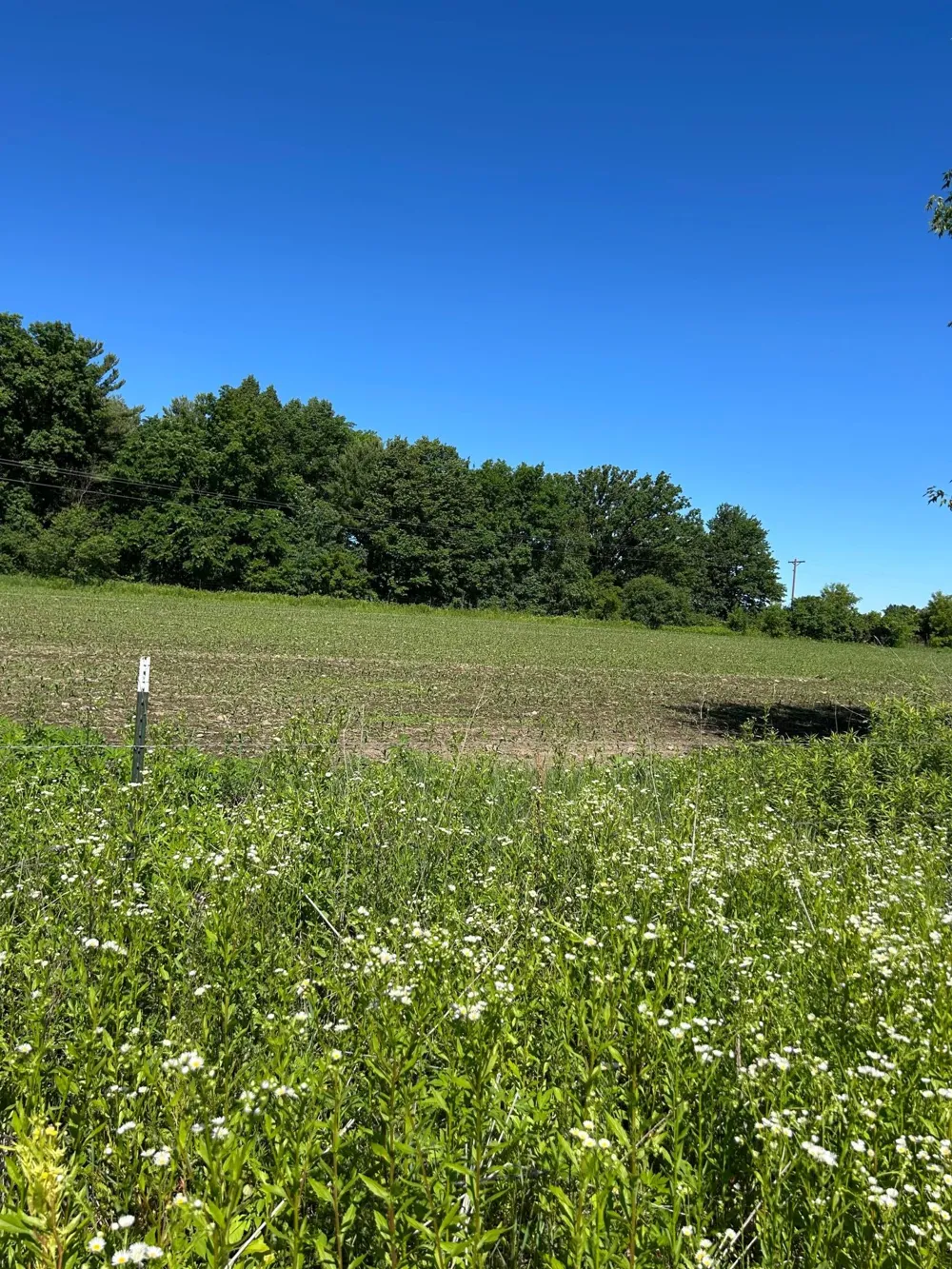 TBD Old Cty Rd B Woodville, WI 54028