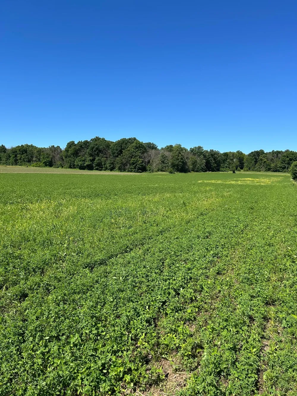 TBD Old Cty Rd B Woodville, WI 54028