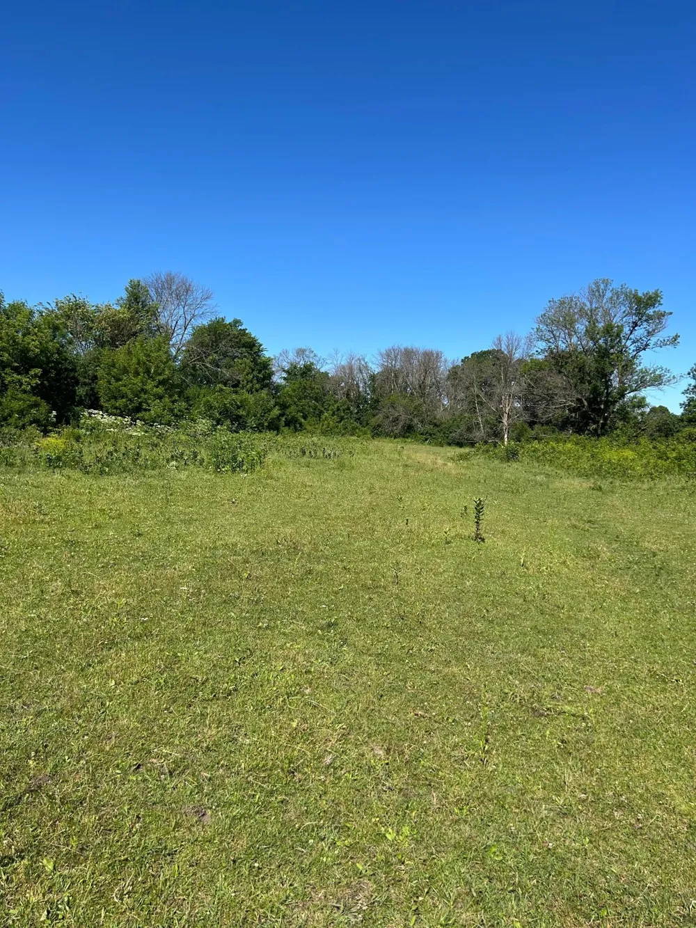 TBD Old Cty Rd B Woodville, WI 54028
