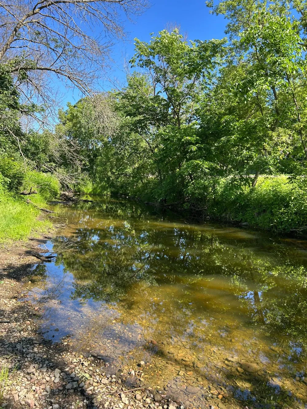 TBD Old Cty Rd B Woodville, WI 54028