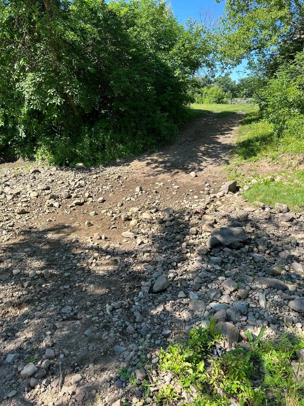 TBD Old Cty Rd B Woodville, WI 54028