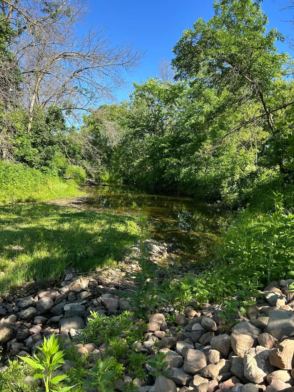 TBD Old Cty Rd B Woodville, WI 54028