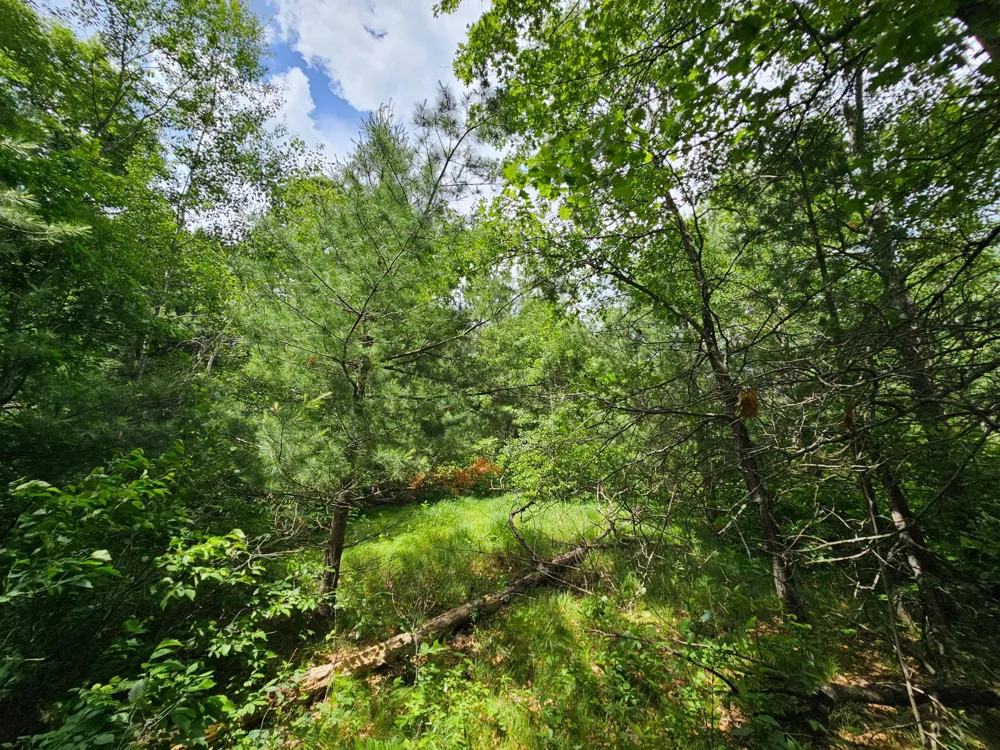 Lot 1 Gaslyn Road Webster, WI 54893