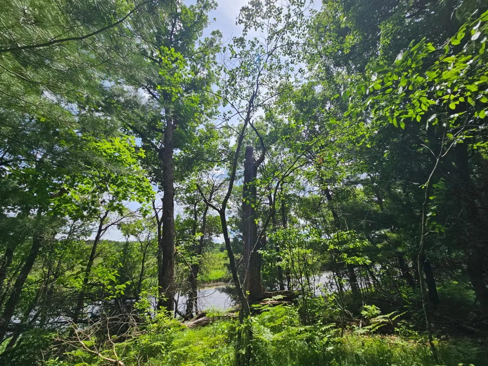 Lot 1 Gaslyn Road Webster, WI 54893