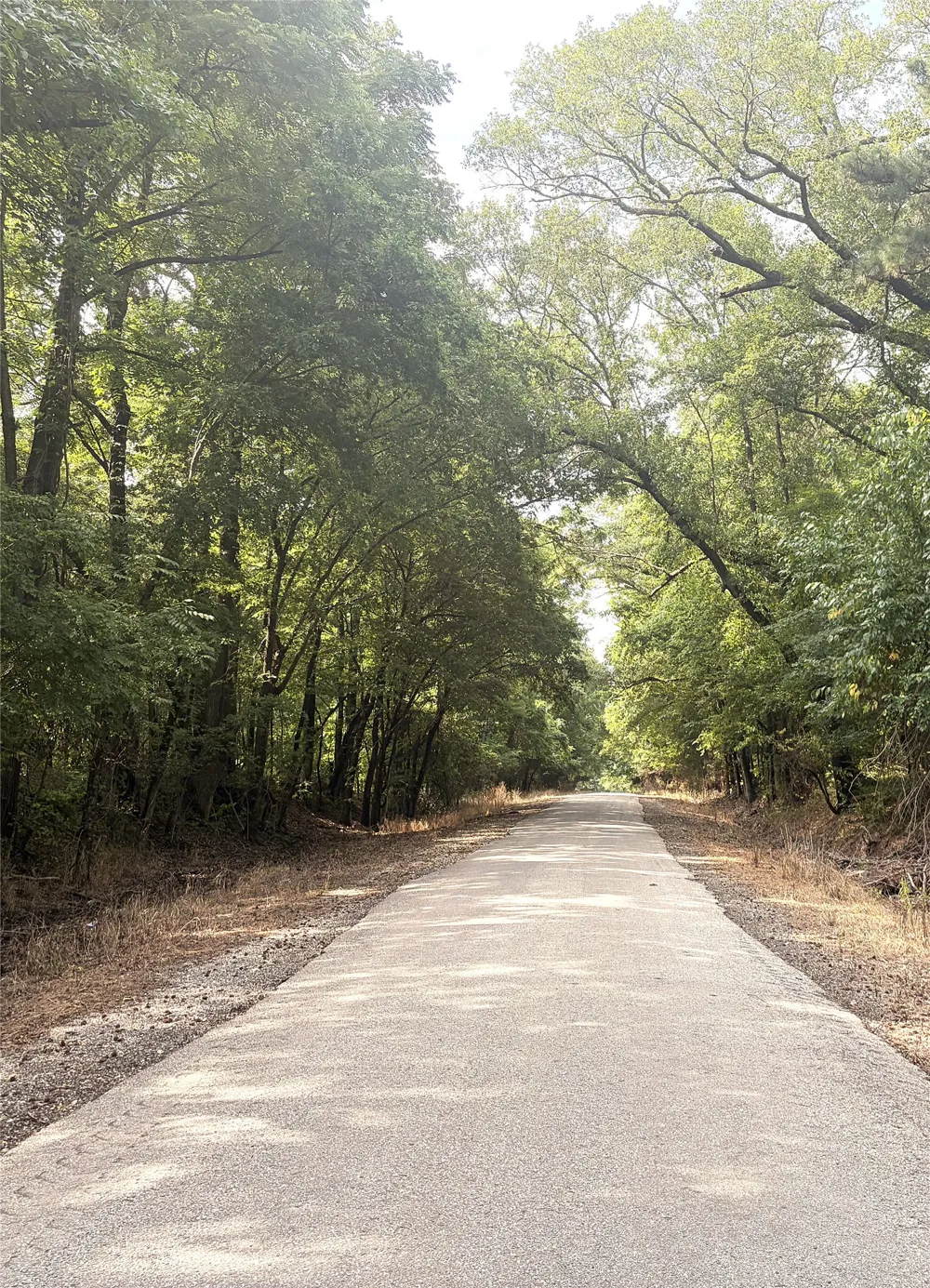 CR 3230 ROAD Clarksville, TX 75426