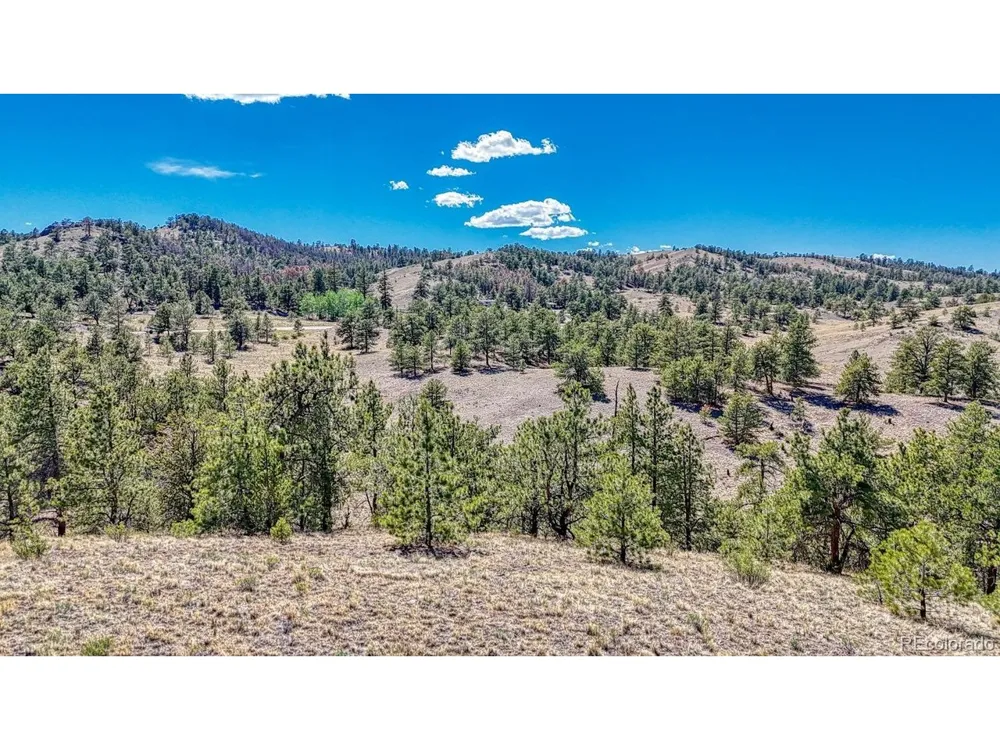 11 Hwy 9 Hartsel, CO 80449