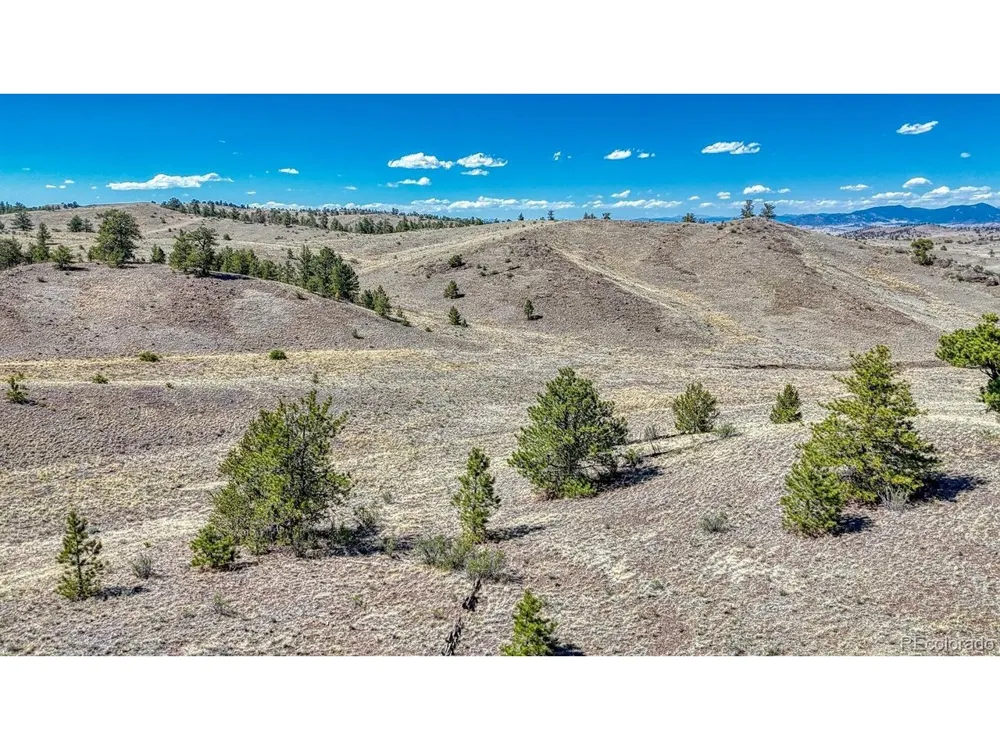 11 Hwy 9 Hartsel, CO 80449