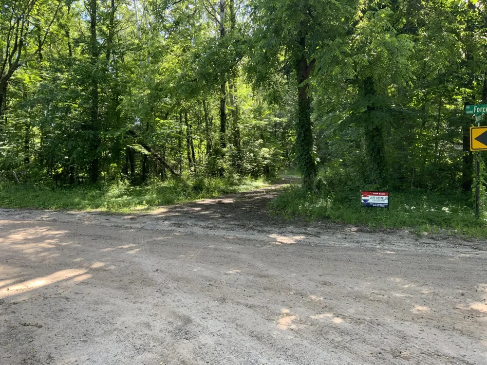 16000 Force Avenue NE Cedar Springs, MI 49319