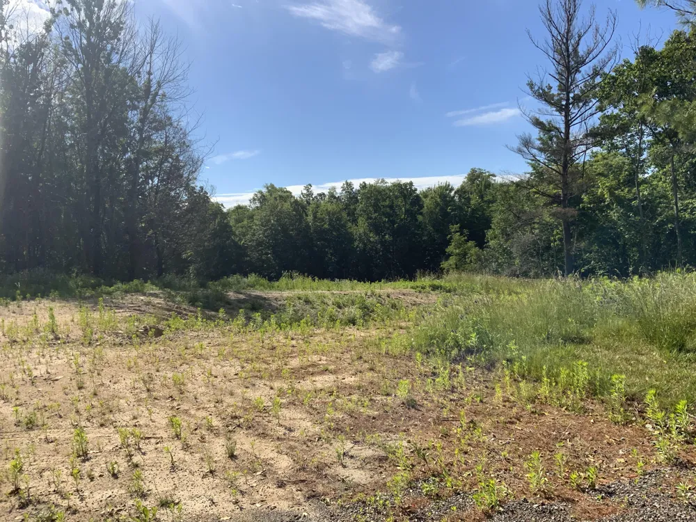16000 Force Avenue NE Cedar Springs, MI 49319