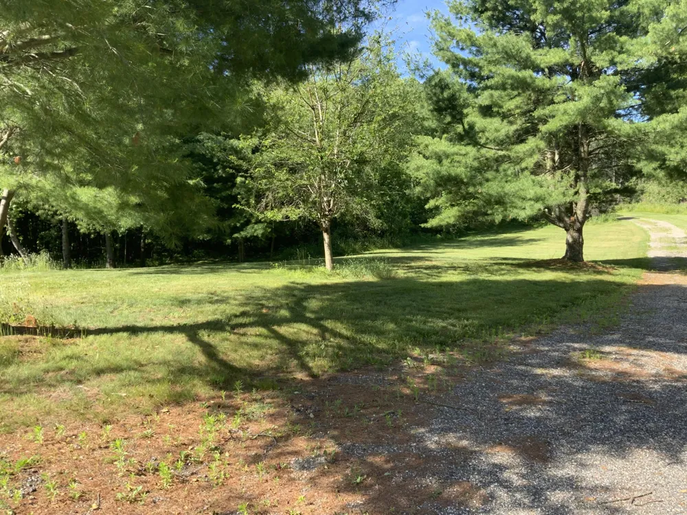 16000 Force Avenue NE Cedar Springs, MI 49319
