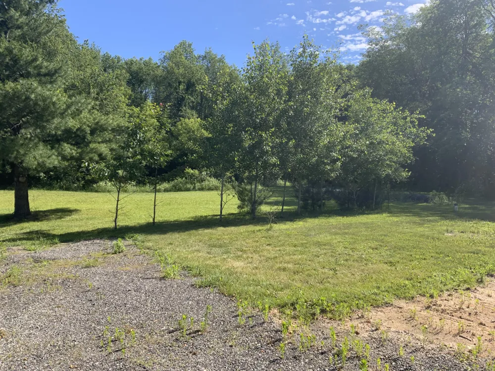 16000 Force Avenue NE Cedar Springs, MI 49319