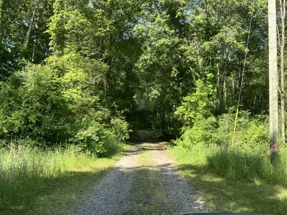 16000 Force Avenue NE Cedar Springs, MI 49319