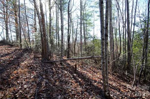 0 Wildwood Mountain Lane #8