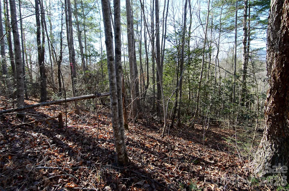 0 Wildwood Mountain Lane #8 Marion, NC 28752