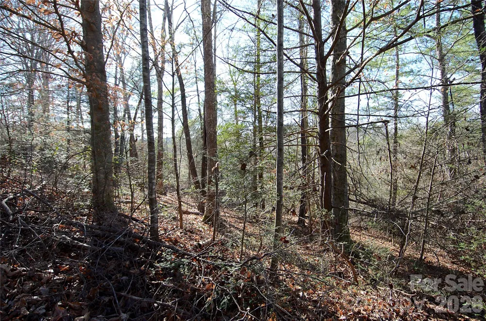 0 Wildwood Mountain Lane #8 Marion, NC 28752