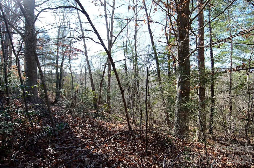 0 Wildwood Mountain Lane #8 Marion, NC 28752