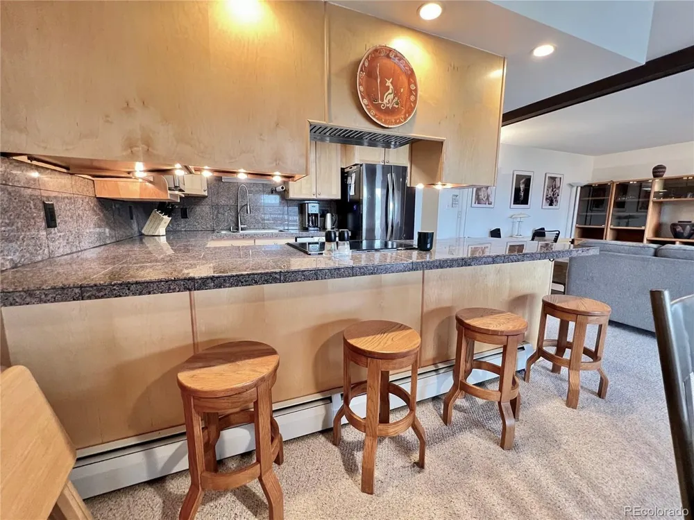 244 Lodgepole Street #15 Dillon, CO 80435