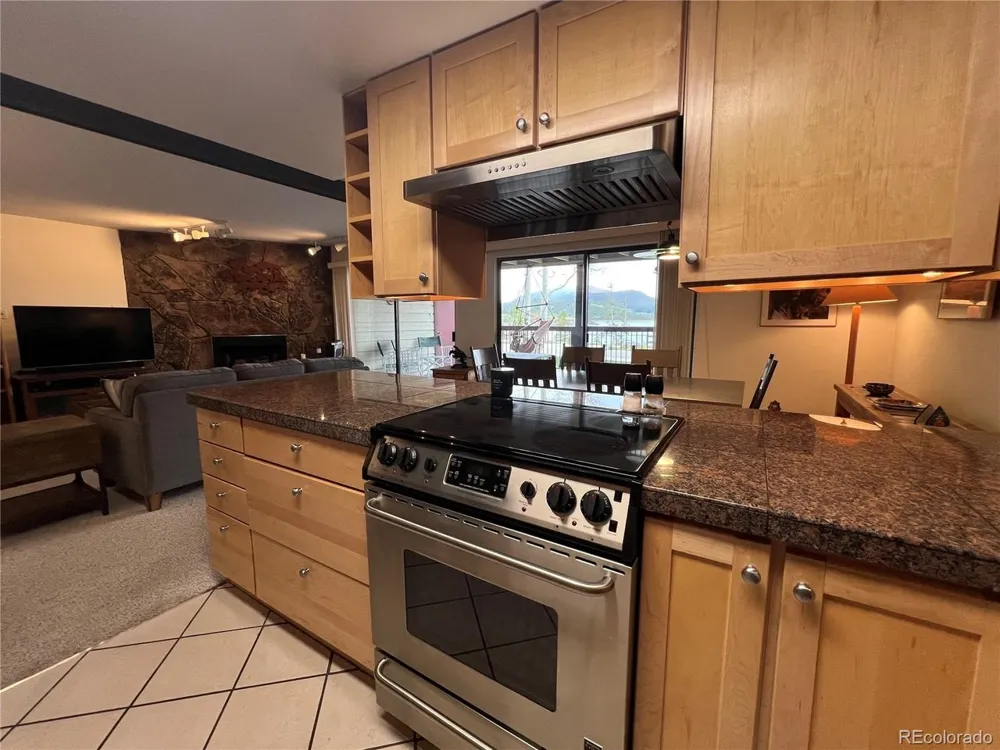 244 Lodgepole Street #15 Dillon, CO 80435