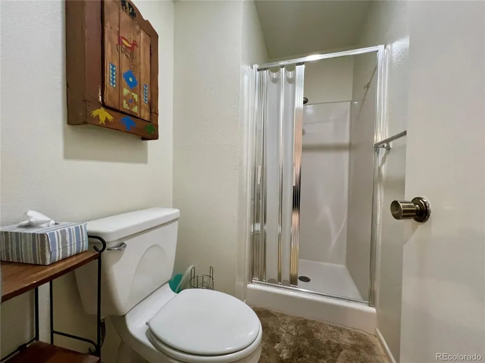 244 Lodgepole Street #15 Dillon, CO 80435