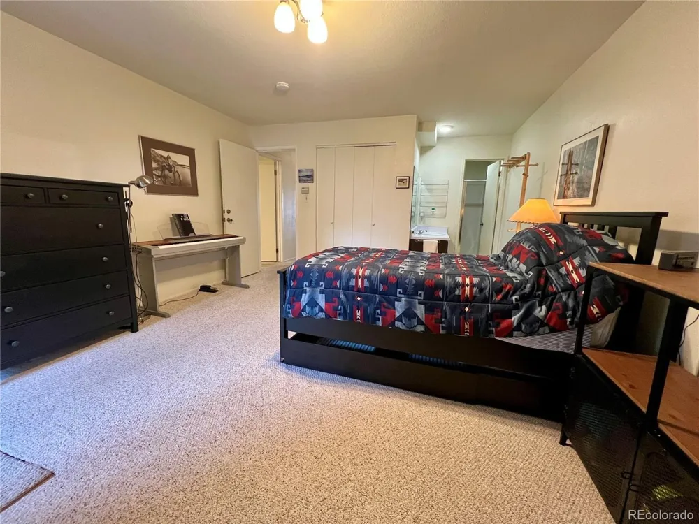 244 Lodgepole Street #15 Dillon, CO 80435